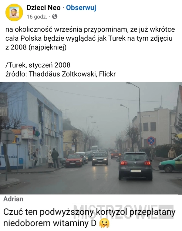 
    Turek