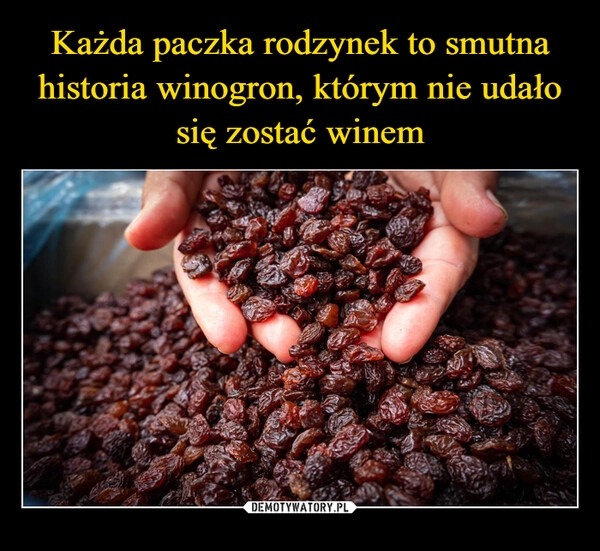 
    Każda paczka rodzynek to smutna historia winogron, którym nie udało się zostać winem