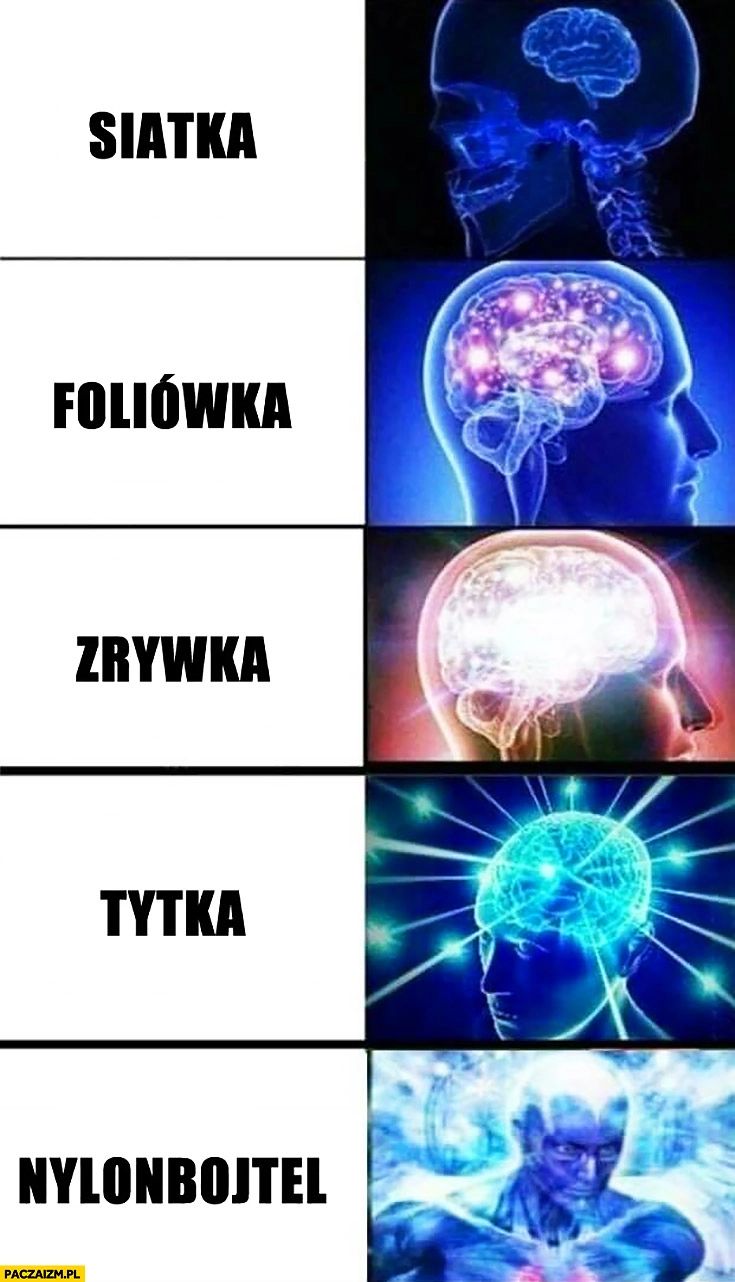 
    Siatka, foliówka, zrywka, tytka, nylonbojtel. Reklamówka foliowa mózgi mem