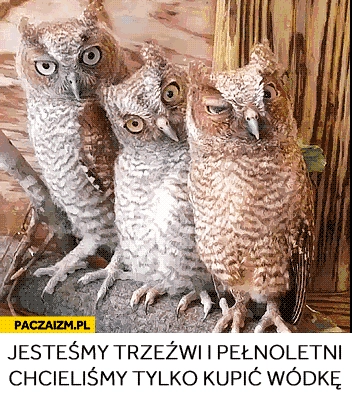 
    Jesteśmy trzeźwi i pełnoletni chcieliśmy tylko kupić wódke