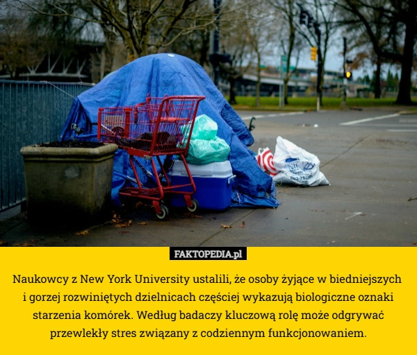 Naukowcy z New York University ustalili, że osoby żyjące w biedniejszych