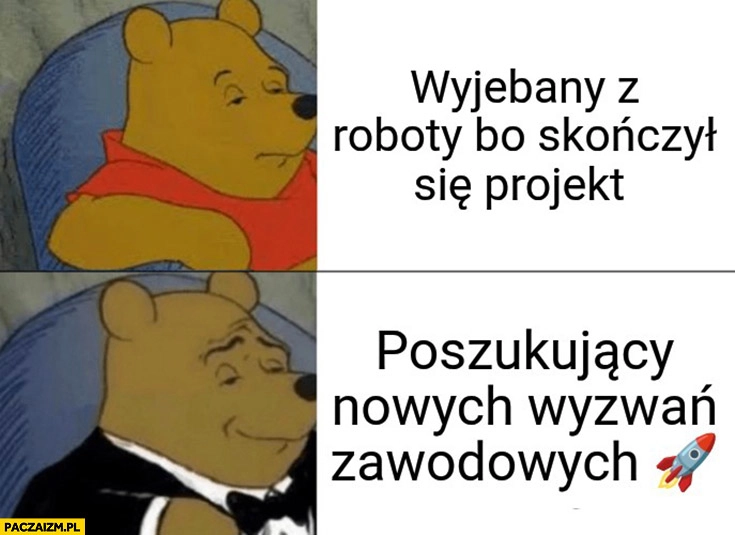 
    Wywalony z roboty bo skończył się projekt vs poszukujący nowych wyzwań zawodowych Kubuś Puchatek