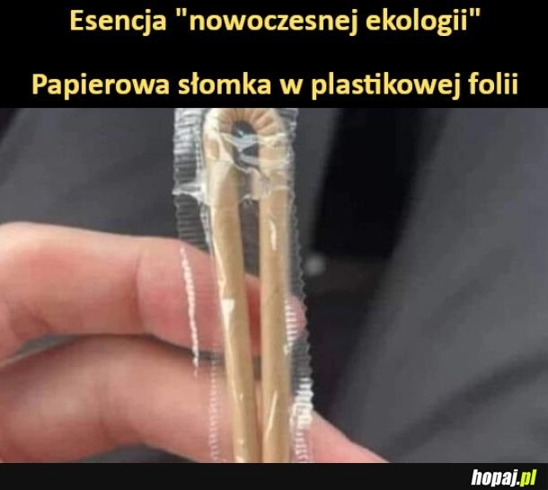 
    Nowoczesna ekologia