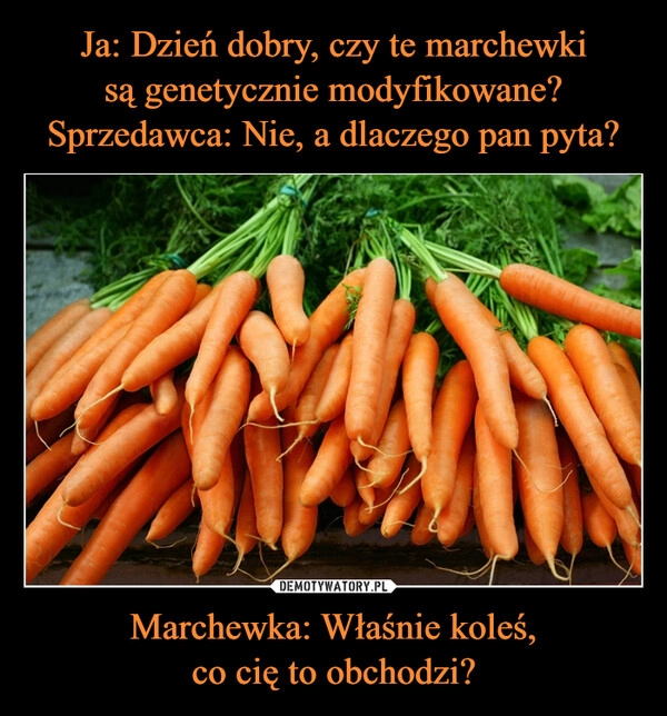 
    Ja: Dzień dobry, czy te marchewki
są genetycznie modyfikowane?
Sprzedawca: Nie, a dlaczego pan pyta? Marchewka: Właśnie koleś,
co cię to obchodzi?