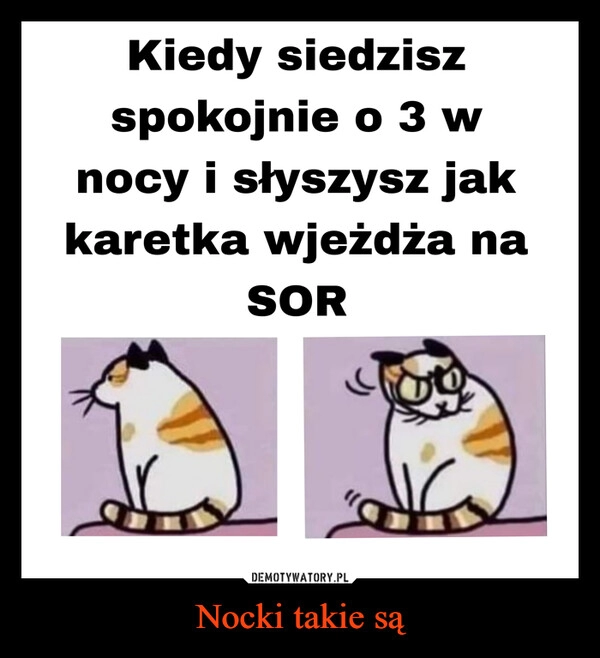 
    Nocki takie są