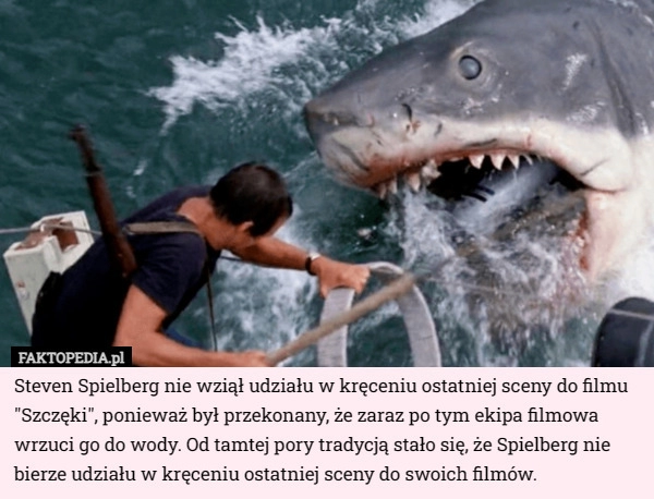 
    Steven Spielberg nie wziął udziału w kręceniu ostatniej sceny do filmu "Szczęki"...