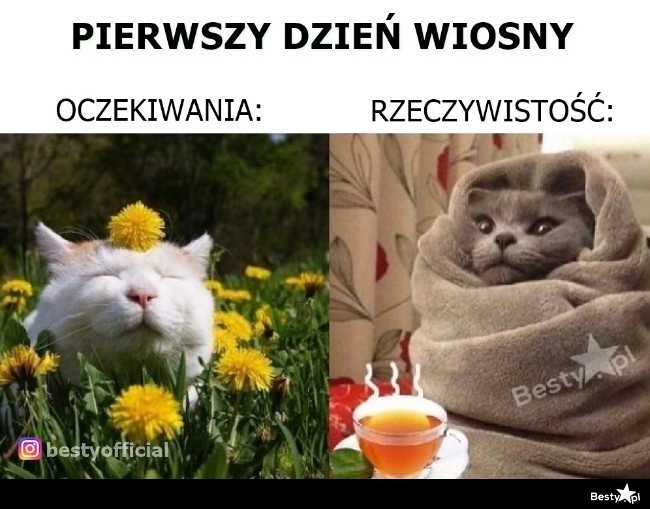 
    Pierwszy dzień wiosny 