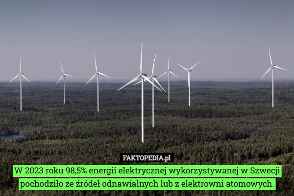 
    W 2023 roku 98,5% energii elektrycznej wykorzystywanej w Szwecji pochodziło