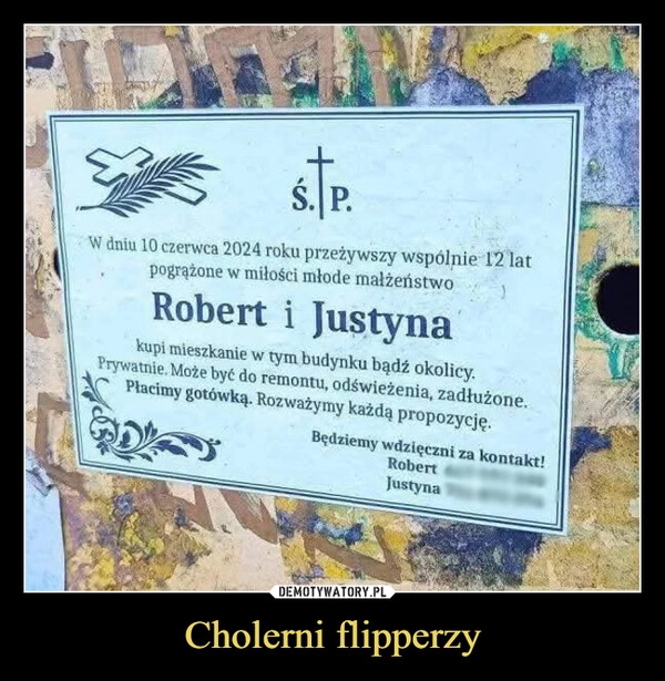 
    Cholerni flipperzy