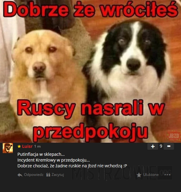 
    Ruskie trolle są wszędzie...