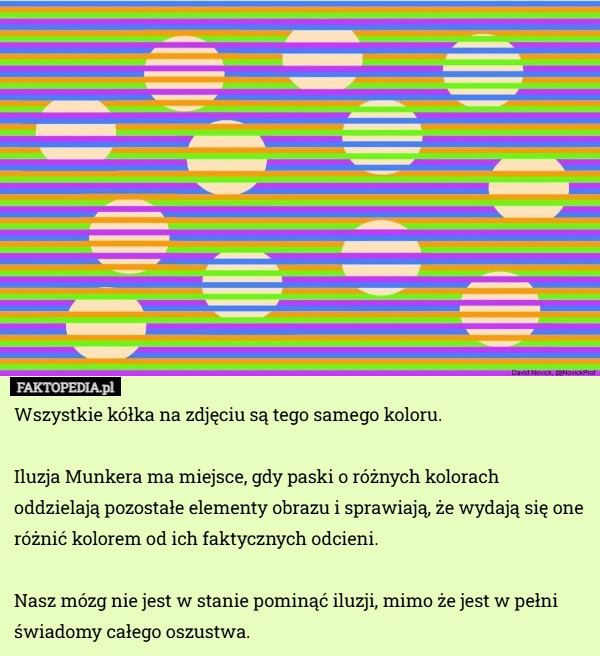 
    Wszystkie kółka na zdjęciu są tego samego koloru.

Iluzja Munkera ma miejsce,