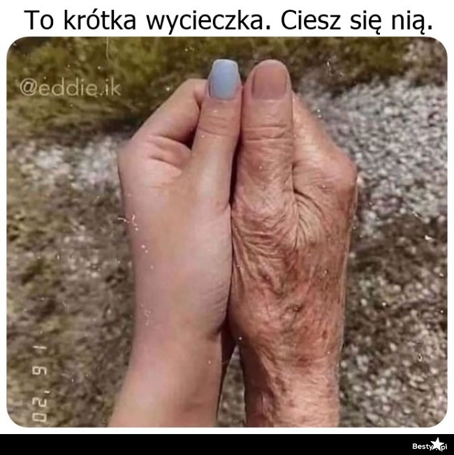 
    Życie 