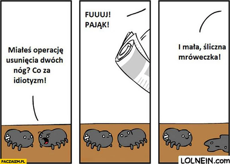 
    Miałeś operację usunięcia nóg? Idiotyzm. Fuj pająk i mała śliczna mróweczka