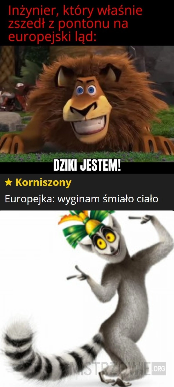 
    Inżynier