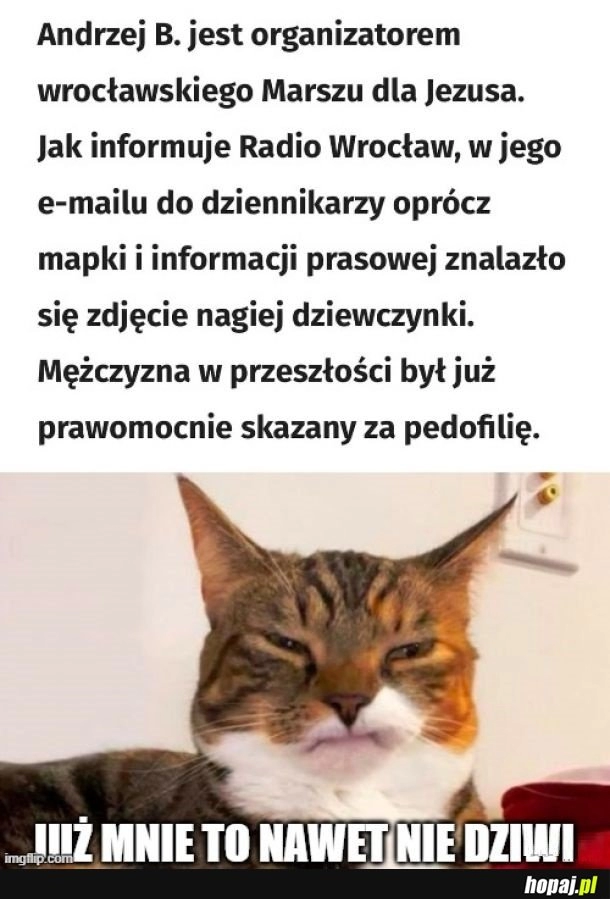 
    Dzień jak co dzień