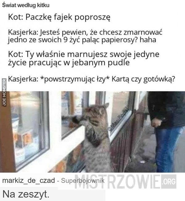 
    Świat według kitku