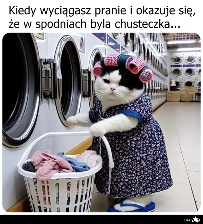 
    PO prostu świetnie 