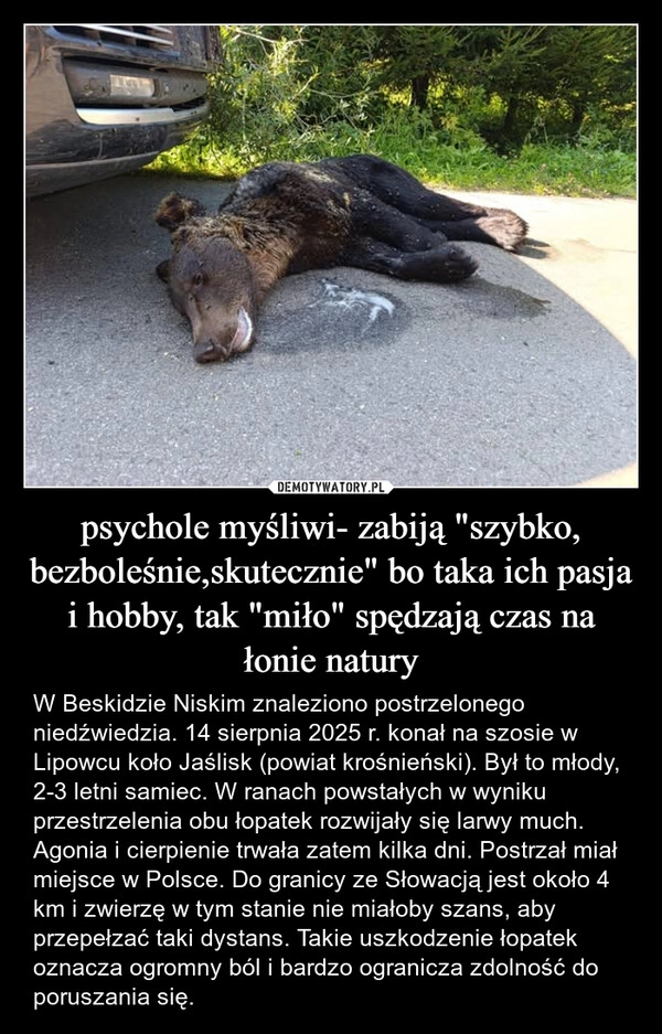 
    psychole myśliwi- zabiją "szybko, bezboleśnie,skutecznie" bo taka ich pasja i hobby, tak "miło" spędzają czas na łonie natury