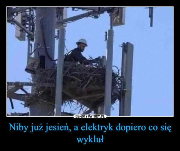 
    Niby już jesień, a elektryk dopiero co się wykluł