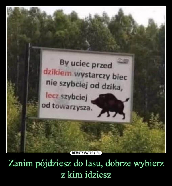 
    Zanim pójdziesz do lasu, dobrze wybierz z kim idziesz