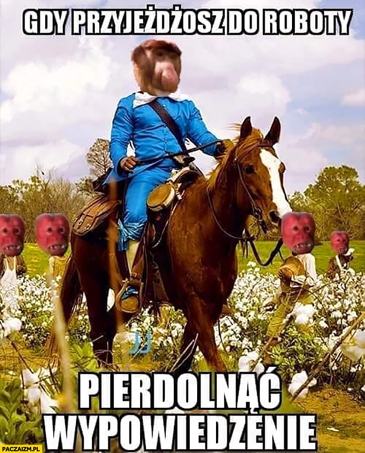 
    Gdy przyjeżdżasz do roboty pierdzielnąć wypowiedzenie typowy Polak nosacz małpa na koniu