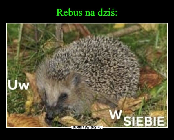 
    Rebus na dziś: