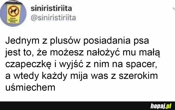 
    Posiadanie piesia