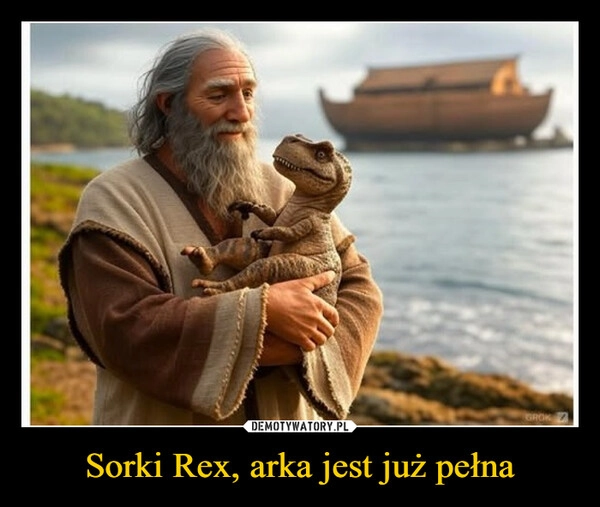 
    Sorki Rex, arka jest już pełna