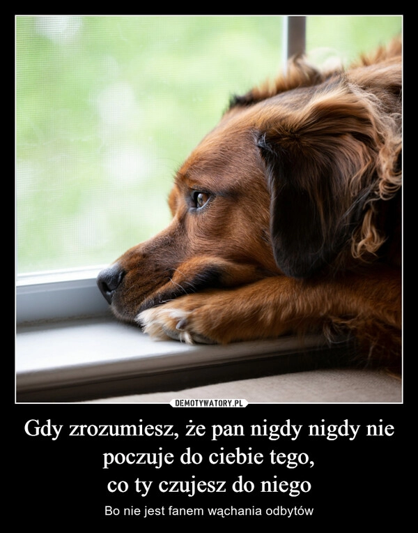 
    Gdy zrozumiesz, że pan nigdy nigdy nie poczuje do ciebie tego,
co ty czujesz do niego