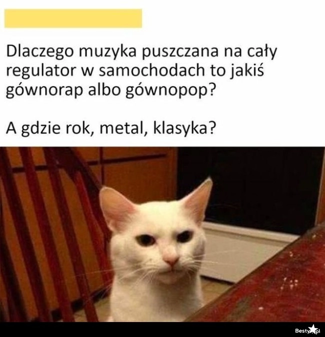 
    Muzyka 