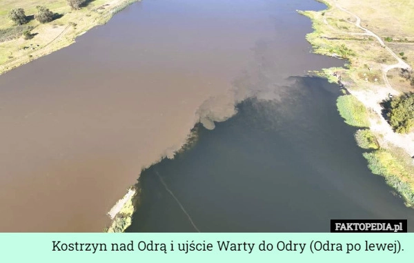 
    Kostrzyn nad Odrą i ujście Warty do Odry (Odra po lewej).