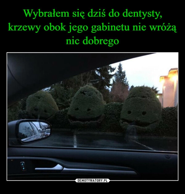 
    Wybrałem się dziś do dentysty, krzewy obok jego gabinetu nie wróżą nic dobrego