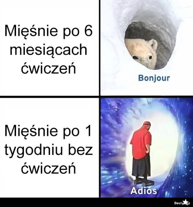 
    Mięśnie 