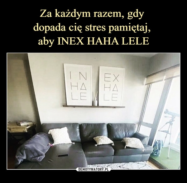 
    Za każdym razem, gdy 
dopada cię stres pamiętaj, 
aby INEX HAHA LELE