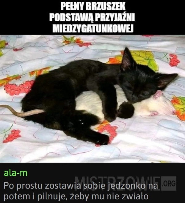 
    Przyjaźń