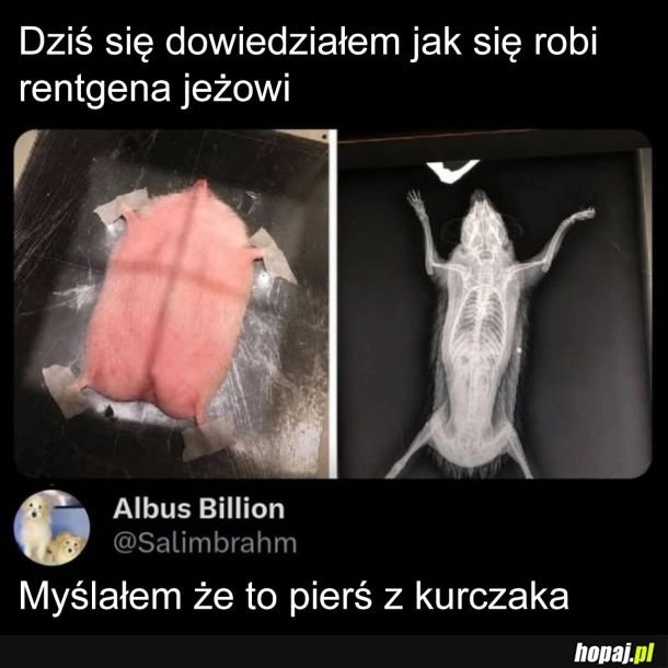 
    Wypuśćcie go!