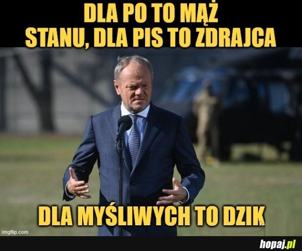 
    Dzik.