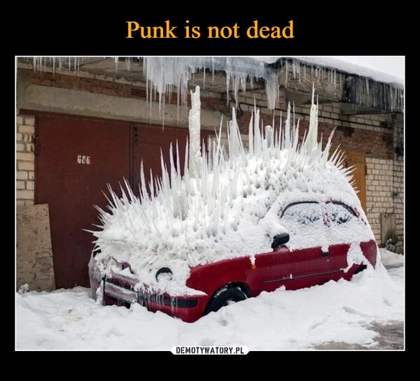 
    Punk is not dead