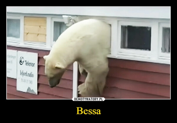 
    Bessa 