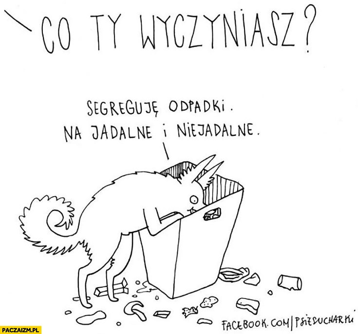 
    Co Ty wyczyniasz? Segreguję odpadki na jadalne i niejadalne pies