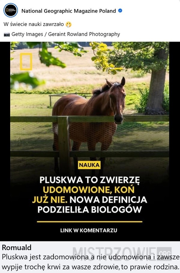 
    Pluskwa