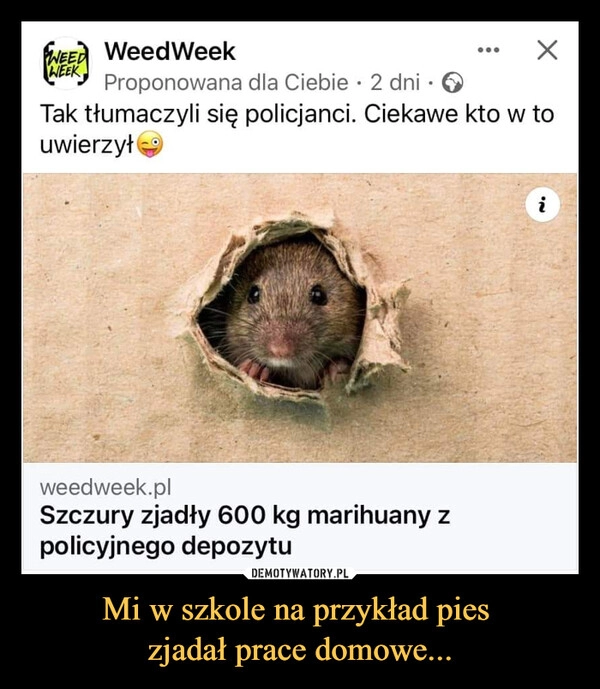 
    Mi w szkole na przykład pies 
zjadał prace domowe...