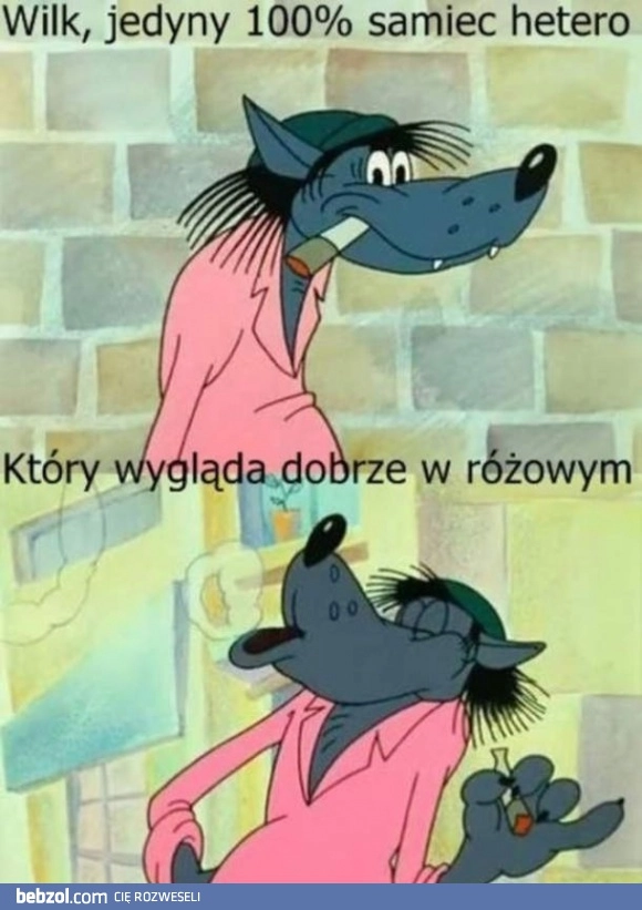 
    Wilk
