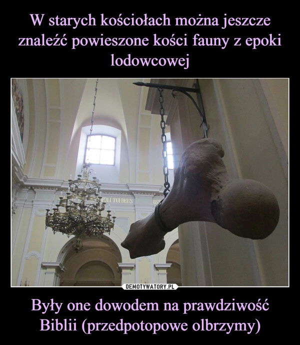 
    W starych kościołach można jeszcze znaleźć powieszone kości fauny z epoki lodowcowej Były one dowodem na prawdziwość Biblii (przedpotopowe olbrzymy)