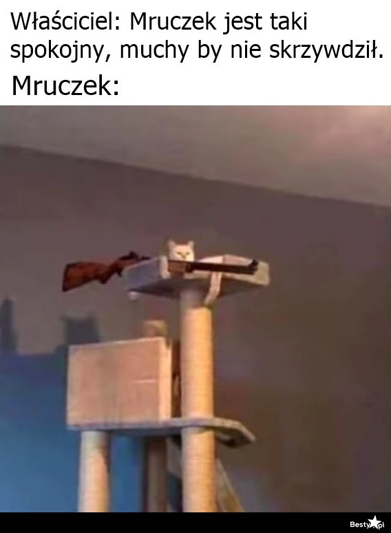 
    Spokojny Mruczek 