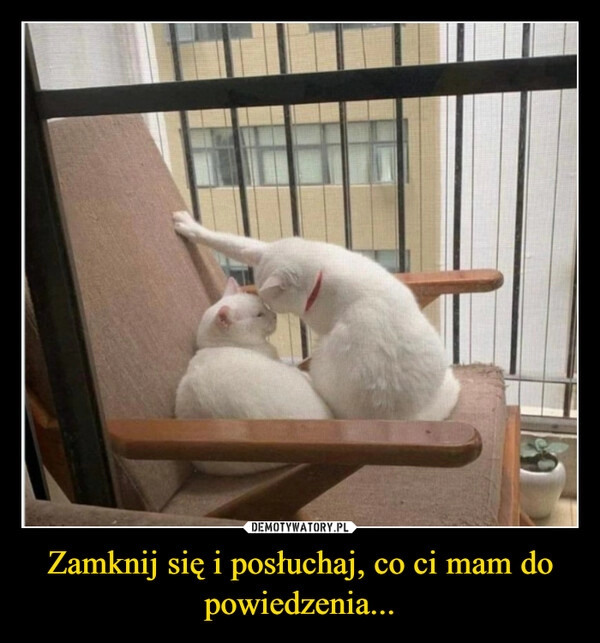 
    Zamknij się i posłuchaj, co ci mam do powiedzenia...