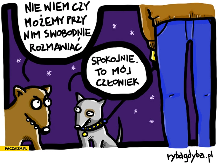 
    Psy nie wiem czy możemy przy nim swobodnie rozmawiać? Spokojnie to mój człowiek