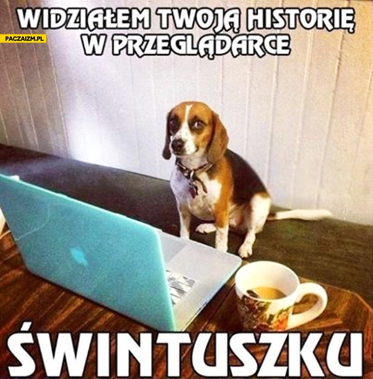 
    Widziałem Twoją historię w przeglądarce świntuszku pies