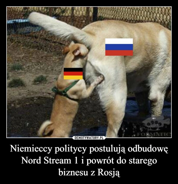 
    Niemieccy politycy postulują odbudowę Nord Stream 1 i powrót do starego biznesu z Rosją 