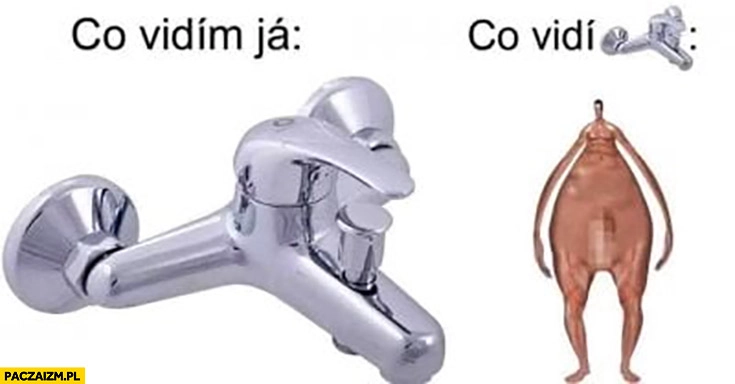 
    Co ja widzę: kran, co widzi kran: Czeskie Słowackie memy